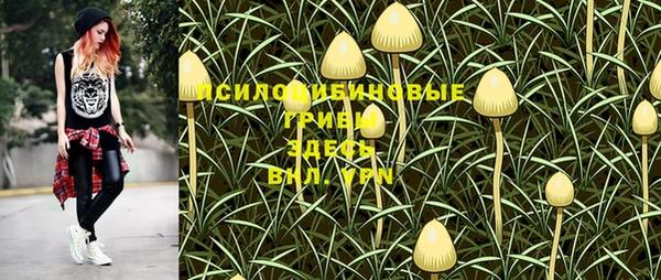 хмурый Зеленодольск