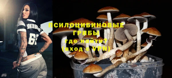 хмурый Зеленодольск
