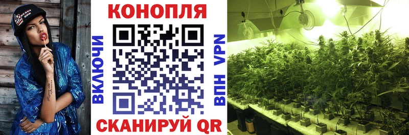 Купить  Вышний Волочёк  МАРИХУАНА MAZAR 